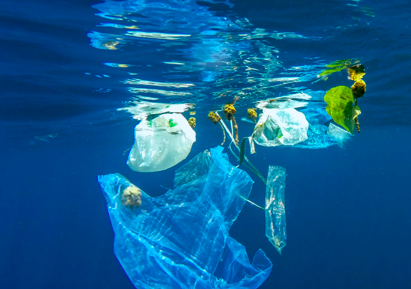 MELTEMI:  Εργαστήριο σχεδιασμού δράσεων ενάντια στα θαλάσσια απορρίμματα